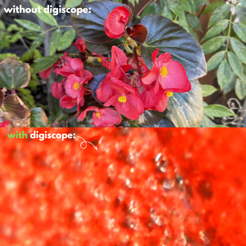 TiniTribe Digiscope Pro™